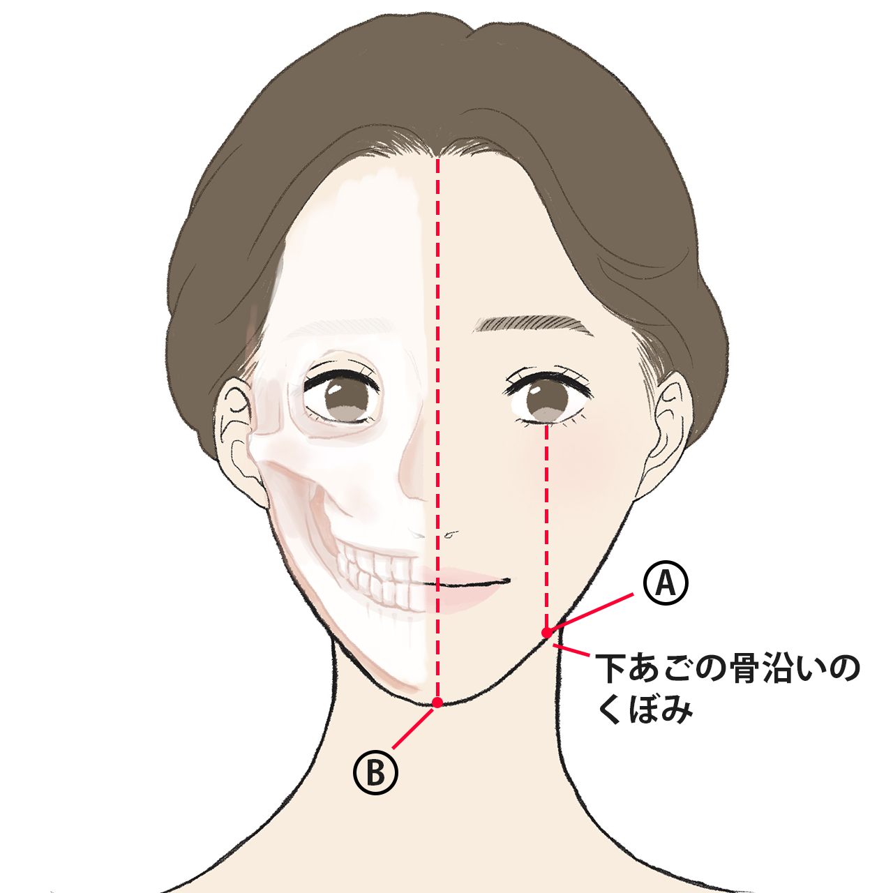 「顔のツボ押し」でアラフォーのほうれい線、目もとのシワ、クマetc. 気になるお悩みを解決!【40代 ヘルスケア】_1_8