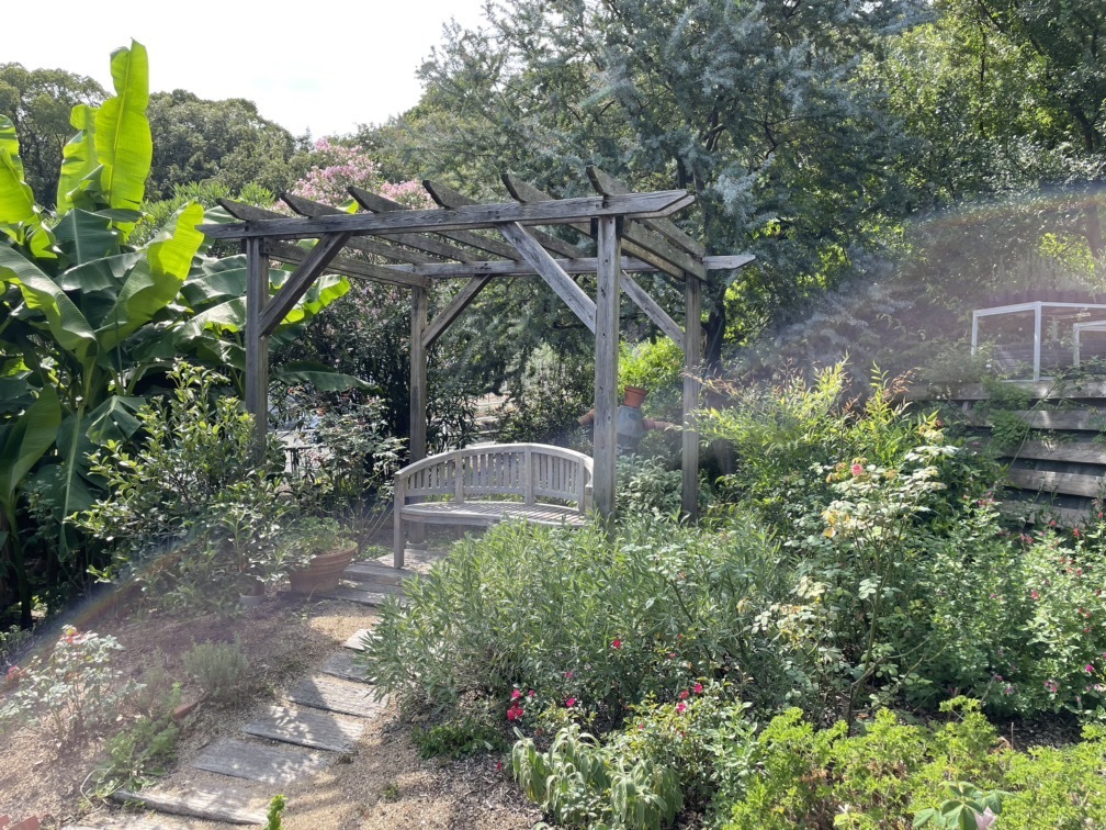 とっておきワンピースでフォトジェニックな小豆島へプチトリップ♬ PART2 オリーブ公園 _1_5