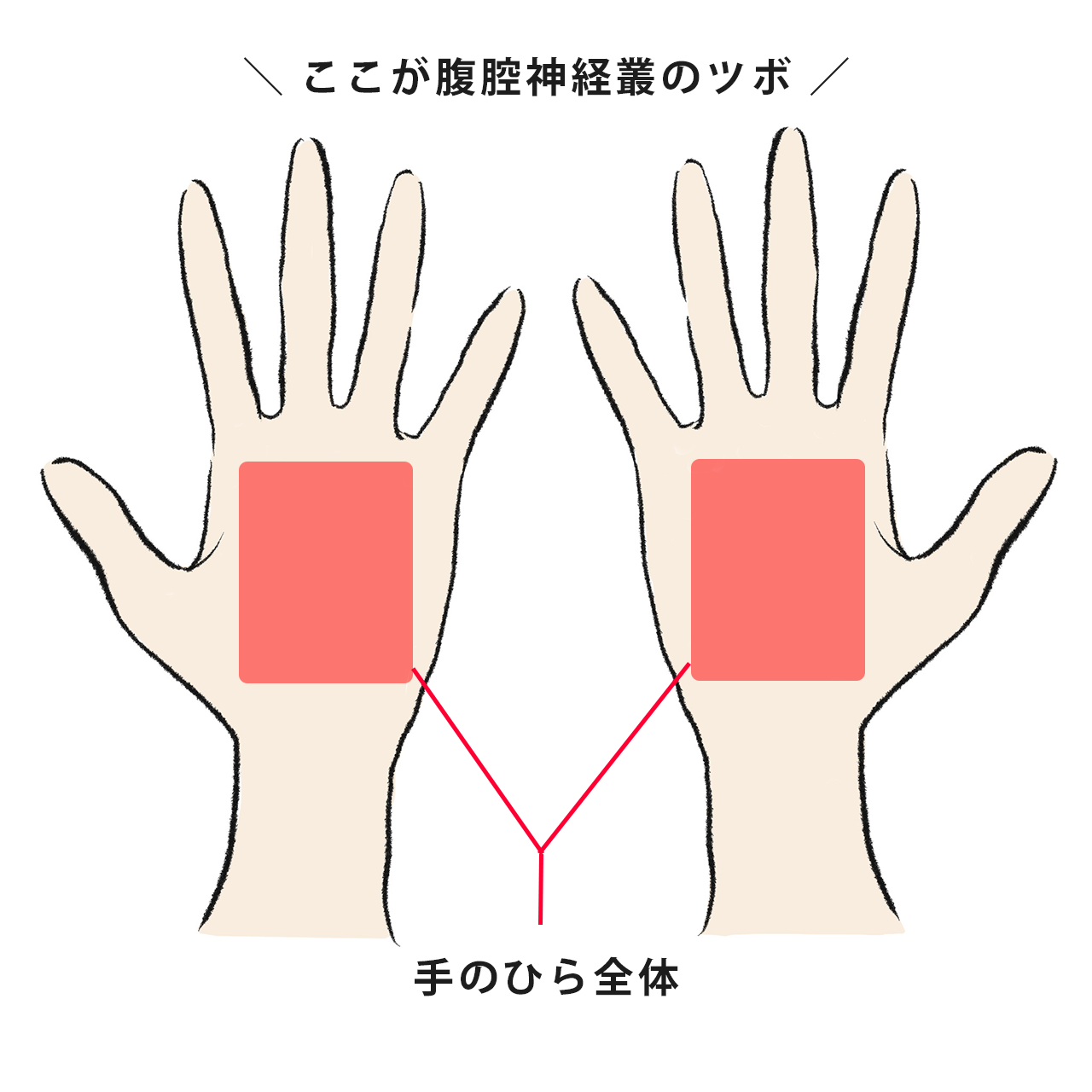 せき・頭痛・腹痛 etc. 外出先でもすぐに押せる「手のツボ」で不調とサヨナラ!【40代 ヘルスケア】_1_8