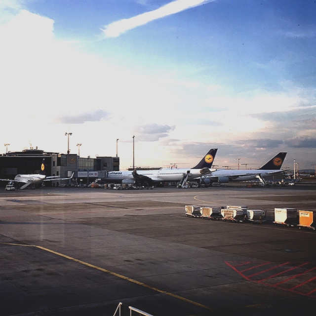 新型コロナ禍における空の移動✈︎_1_1