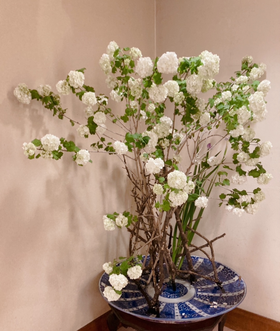 生花の写真