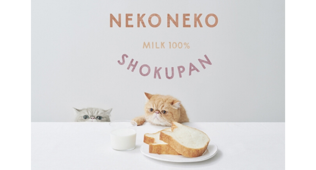 ねこねこ食パン