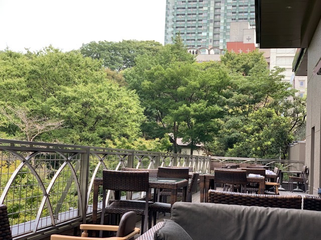 大都会での癒しランチ❤︎_1_1