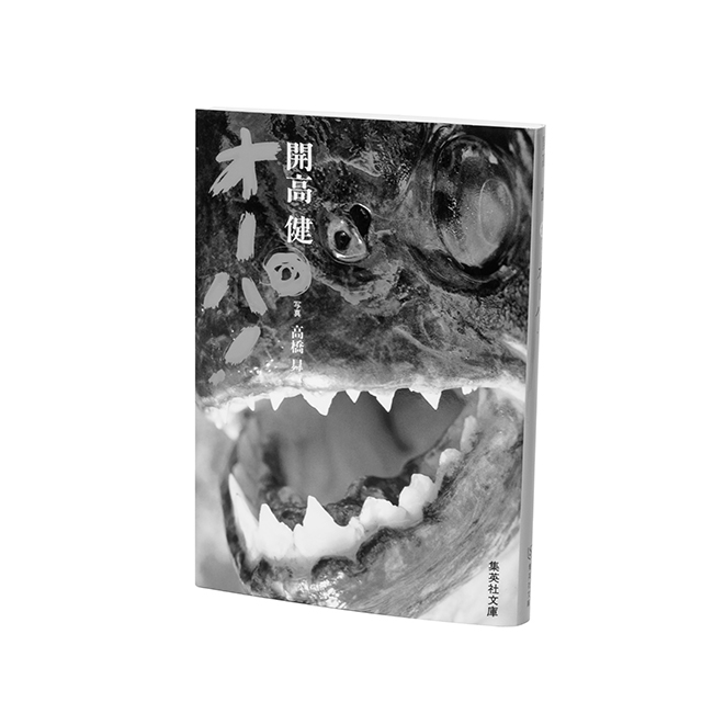 【私が好きな一冊】作家・川内有緒が衝撃を受けた「開高健」の作品_1_2