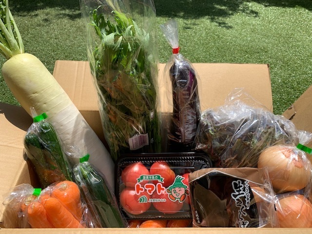 有機野菜セット(9品)が736円