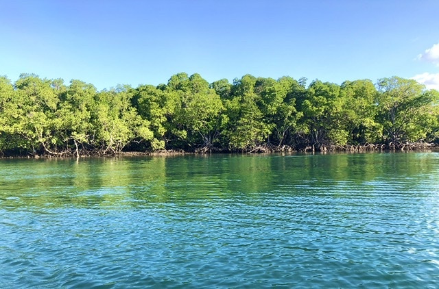 海