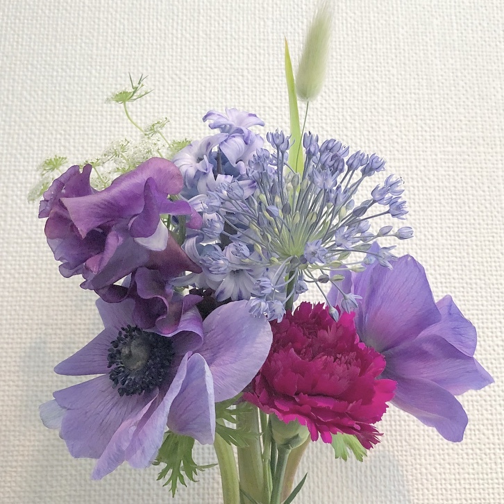 私が現在ドライフラワーにしているお花です🌼