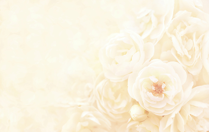 版権:Ulada/Shutterstock.com