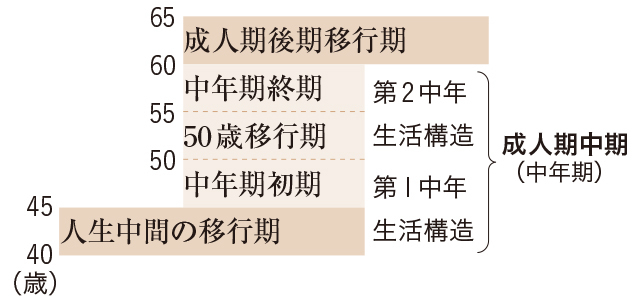 男性成人期ライフサイクルより