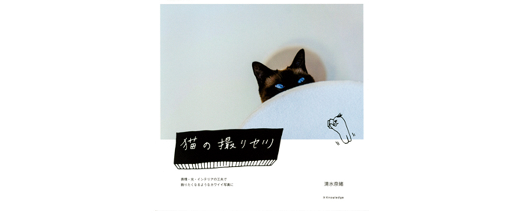 Back Number最新アルバム 瞬き Etc 音楽と新刊をチェック Check The Hits Non No Web ファッション 美容 モデル情報を毎日お届け