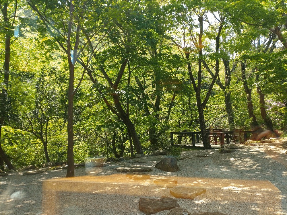 緑豊かな芦屋でミシュランお蕎麦ランチ_1_7