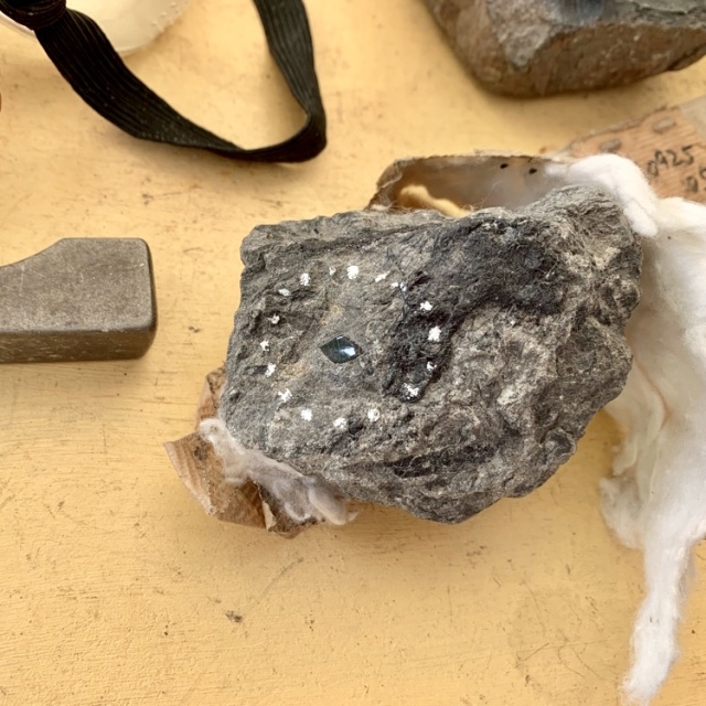 例えばこちらは魚のウロコ。わたしが行った日の午前中にも一般参加者が恐竜の骨が掘り当てたらしく、ここらは本当に化石ザクザクらしい。