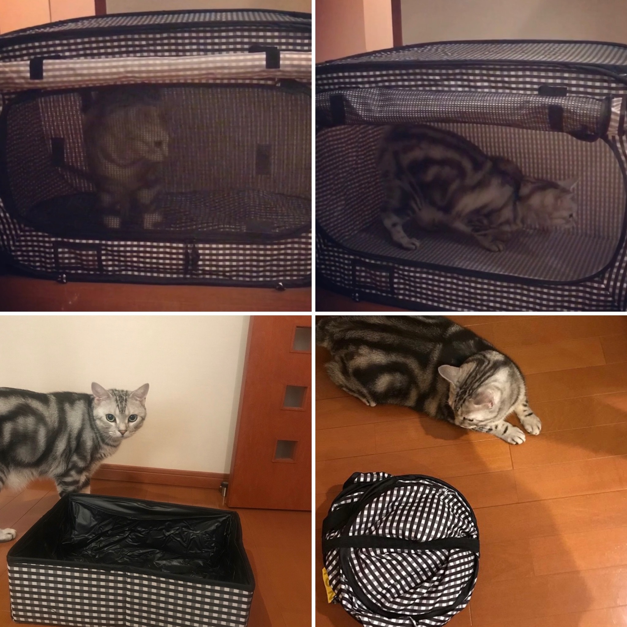 避難先でのケージ ポータブル