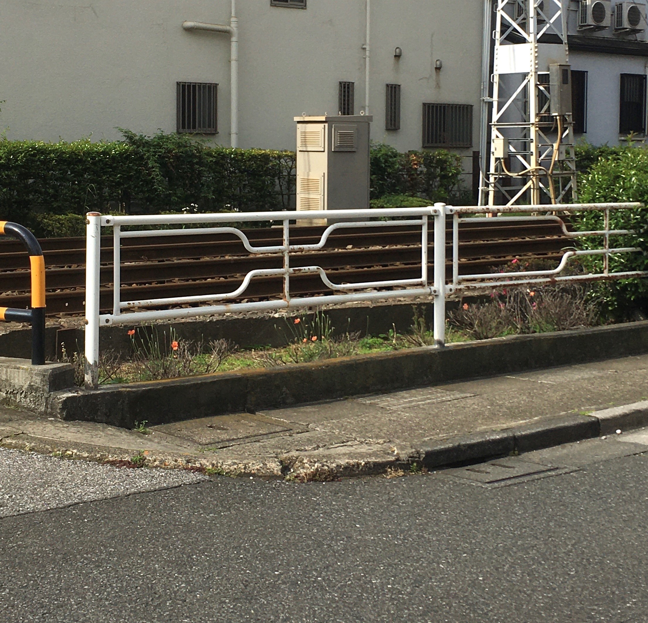 ある散歩での収獲。_1_2
