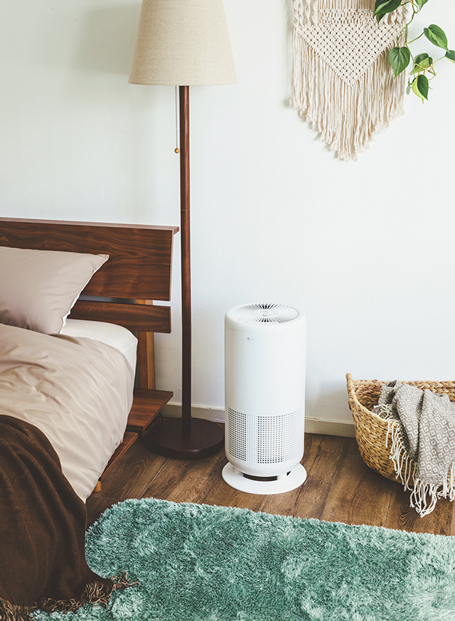 「なんとかしたい!」をニトリで解消 花粉対策まで考えた快適な春の部屋づくり_1_7