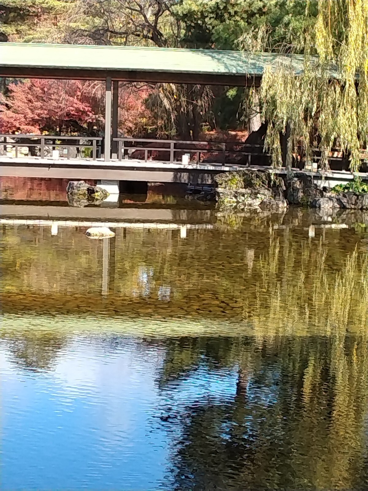 ろうきょう