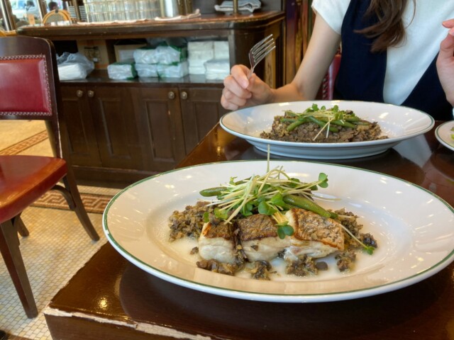 魚ランチ