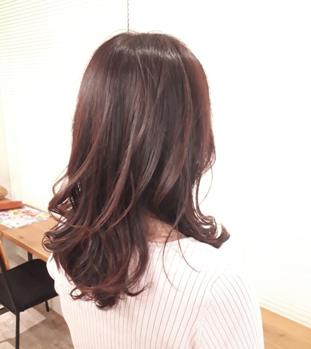 Hair Marisol を見て 髪のメンテナンスにgo Happy Plus ハピプラ