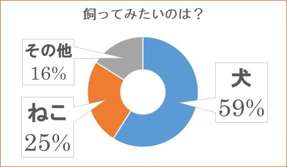 ねこ派 犬派 軍配が上がったのは Happy Plus One ハピプラワン