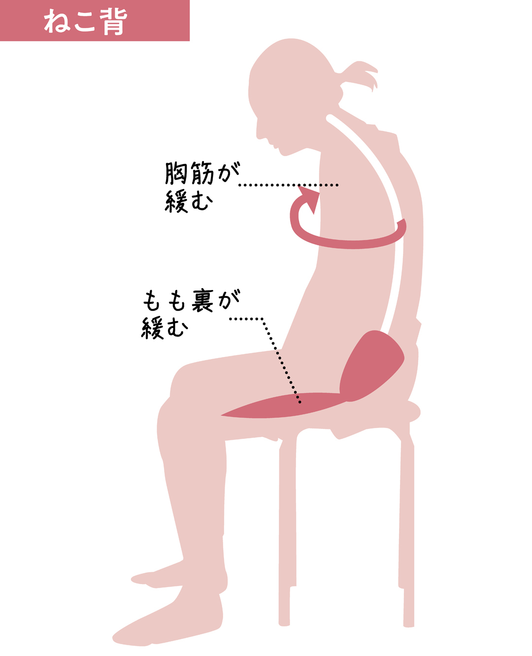 簡単♡ 猫背矯正ストレッチ「キャットレッチ」正しい姿勢を手に入れる!_1_7