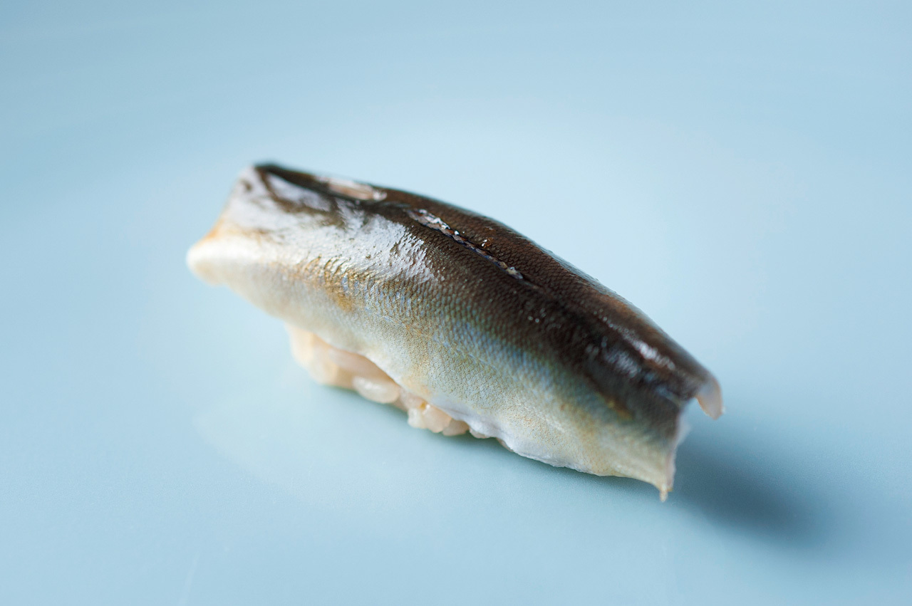 昔気質の大将がにぎる 金沢ならではの江戸前 鮨処 こいづみ _1_1