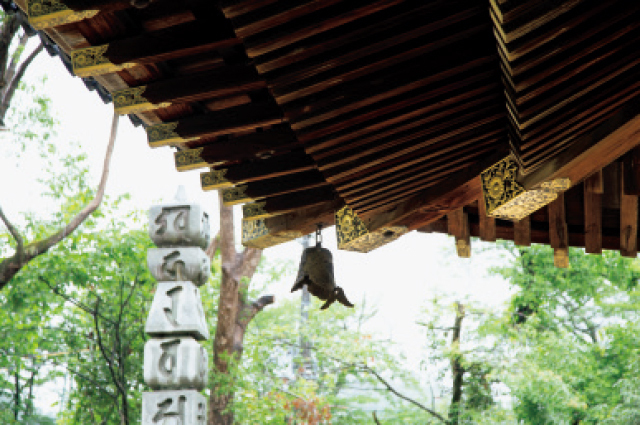京都の仁和寺 金堂の3段の垂木や菊の紋入り飾り金具が建物の格を表現