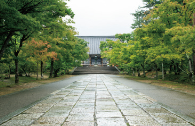 京都の皇室ゆかりの社寺 仁和寺の参道