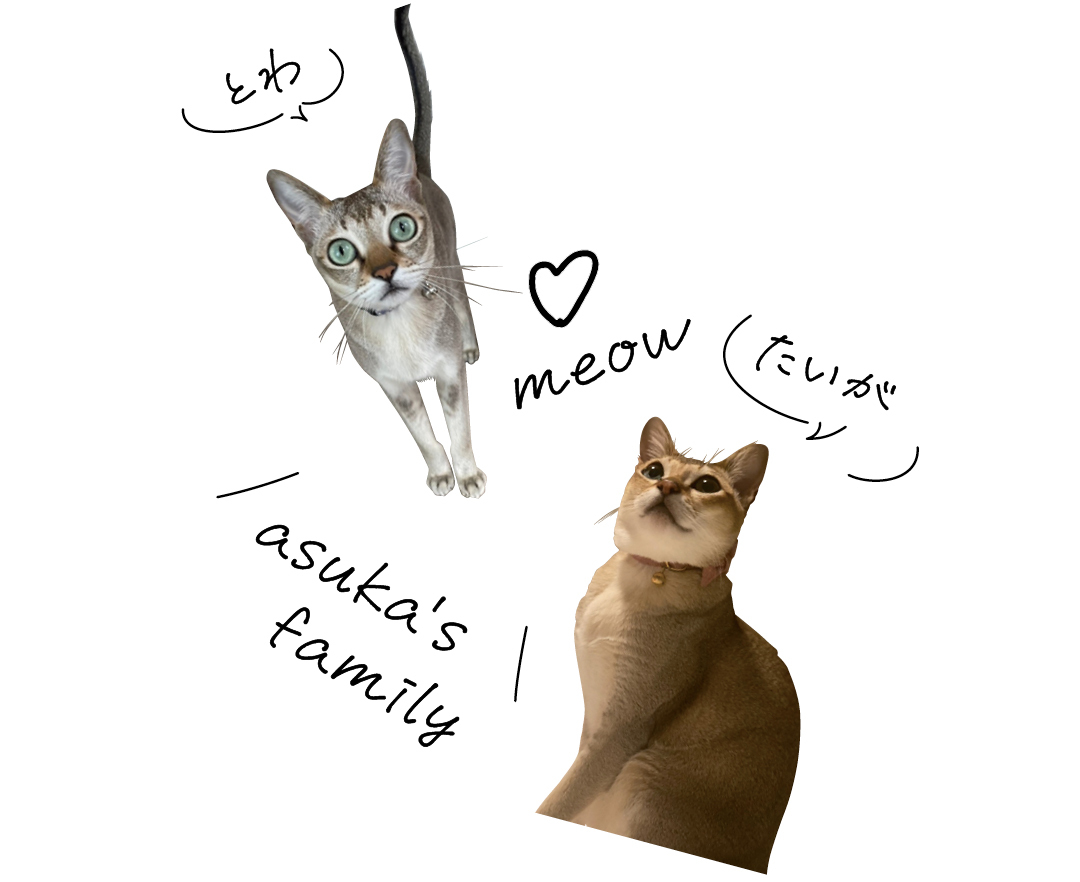 貴島明日香の愛猫とわとたいが