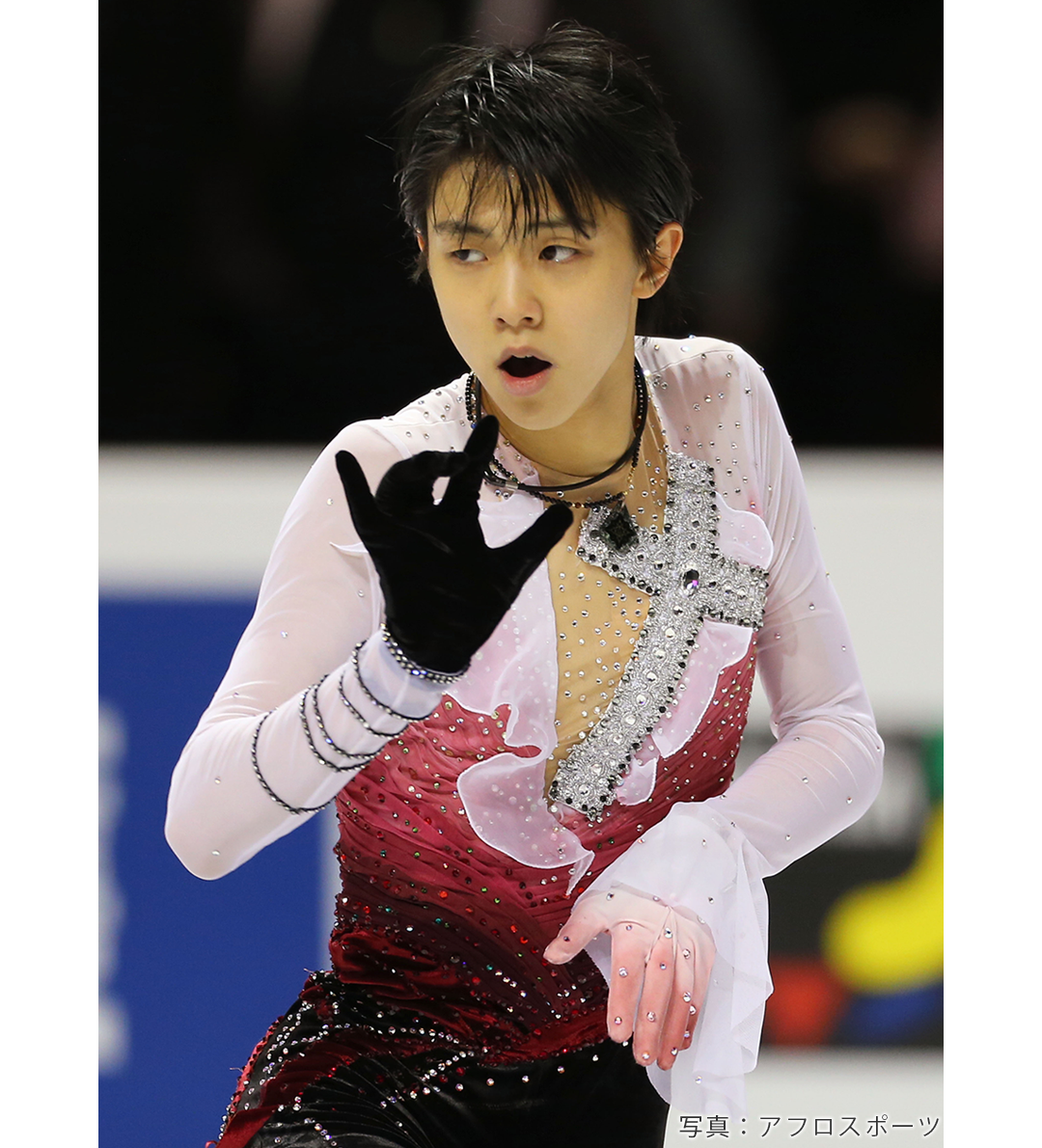 2013年世界選手権