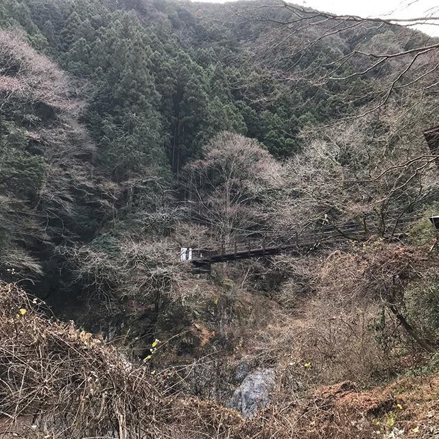 奥多摩への旅_1_3