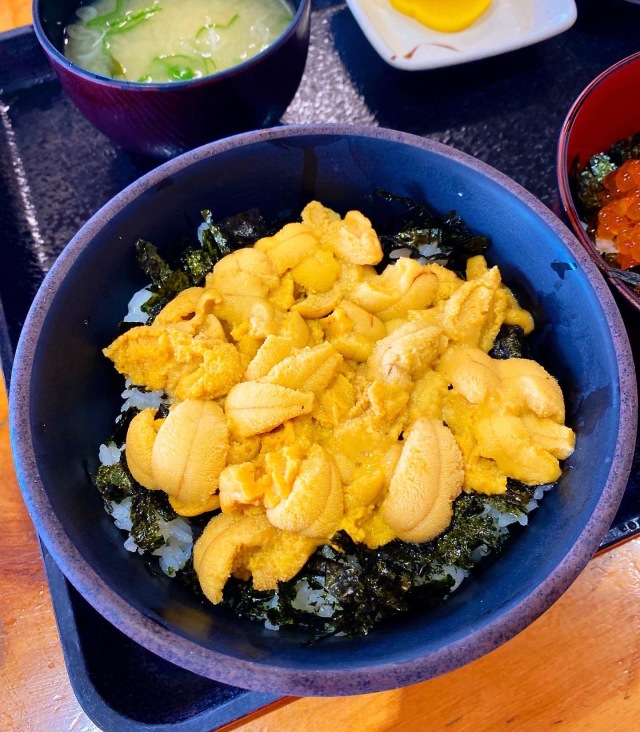 キラキラぷりぷりのうに丼