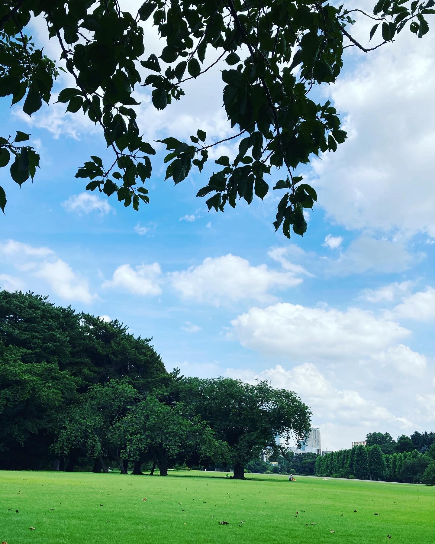 都内屈指のパワースポット 新宿御苑でリフレッシュ チームjマダム まりころのブログ チームjマダムブログ Web Eclat