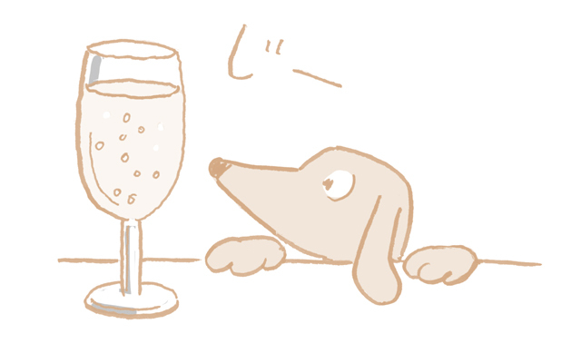 “ゆっくり動くもの”を見る