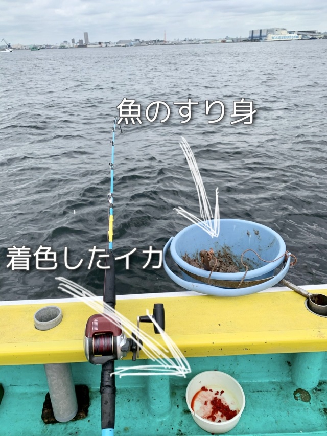 魚のすり身は獲物をおびき寄せるための撒き餌で、針にはイカを付けます。