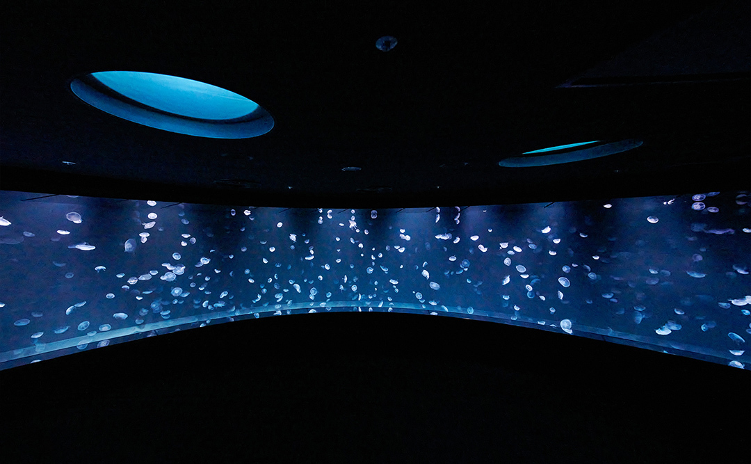 癒されたい♡ サンシャイン水族館の新クラゲエリア「海月空感」の魅力を徹底解説!_1_2