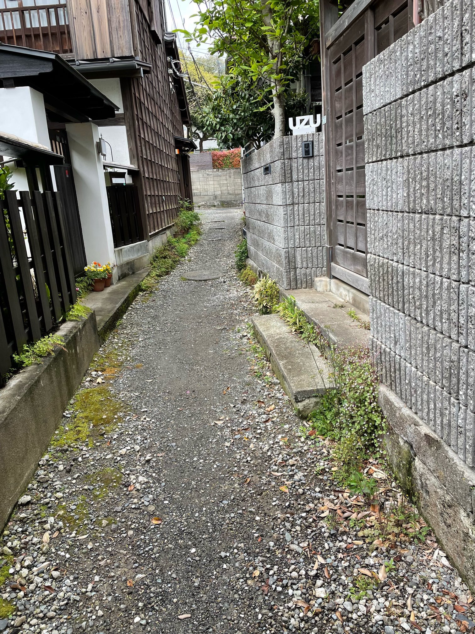 和稽古ー練り切り体験レッスンー_1_3