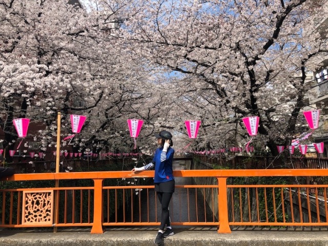 毎日お花見ラン!_1_3