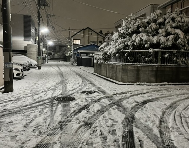 雪 夜道