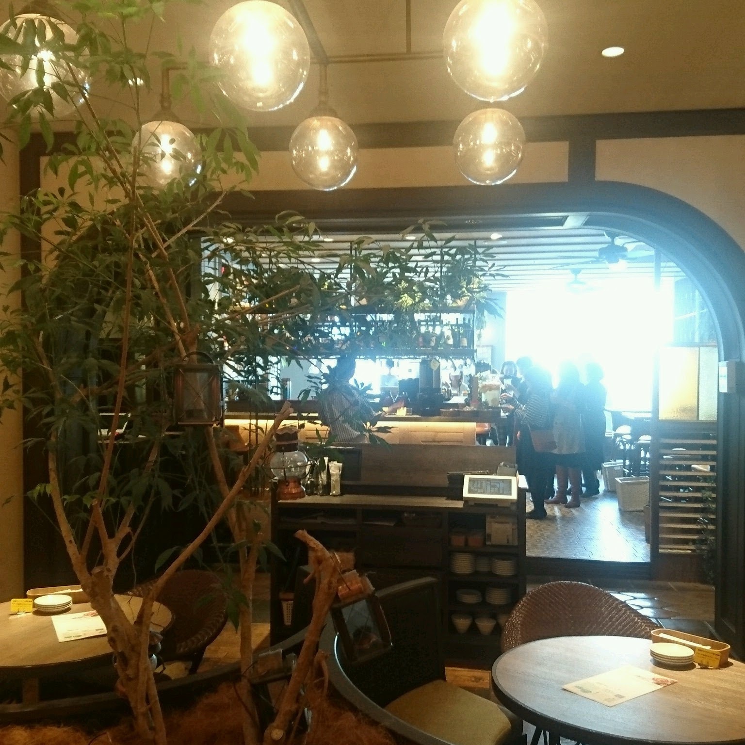 パクチー好きにおすすめのパクチーランチ☀_1_4