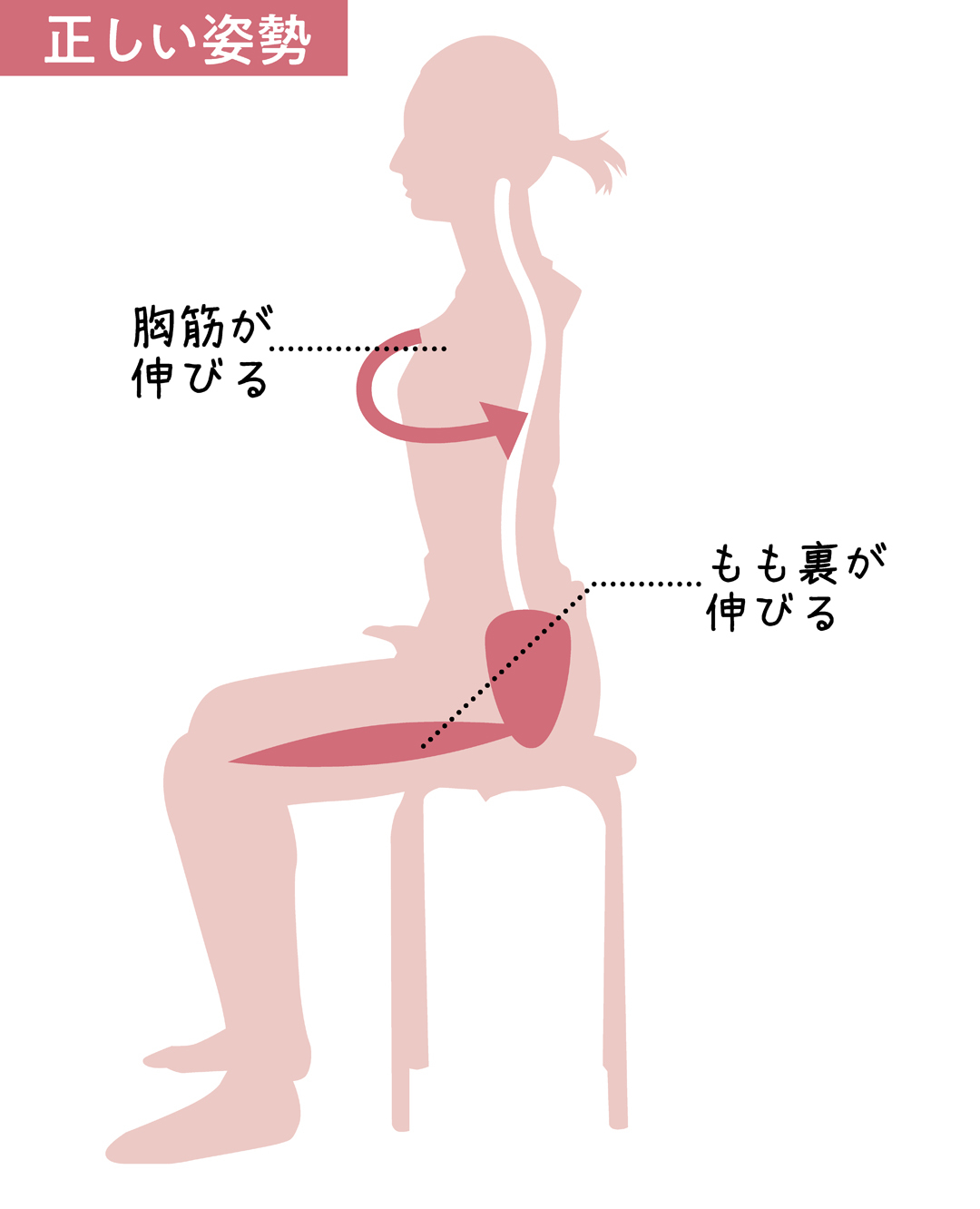 簡単♡ 猫背矯正ストレッチ「キャットレッチ」正しい姿勢を手に入れる!_1_5