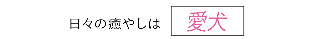 日々の癒やしは愛犬