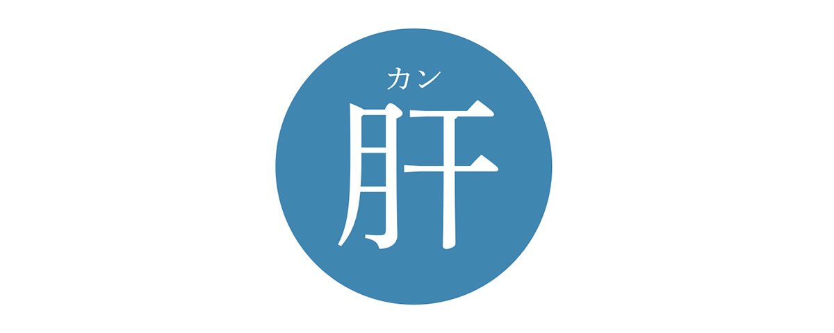「肝」が弱っているあなたに【40歳からの“臓活”入門】| 40代ヘルスケア_1_3