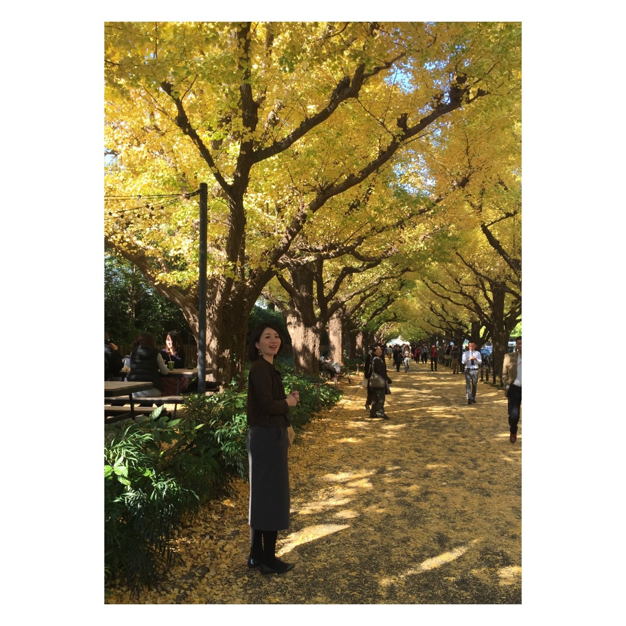 銀杏並木_1_4