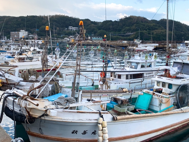 呼子でイカを味わい、吉野ケ里で弥生人になる ~2018佐賀・福岡の旅【下】~_1_5
