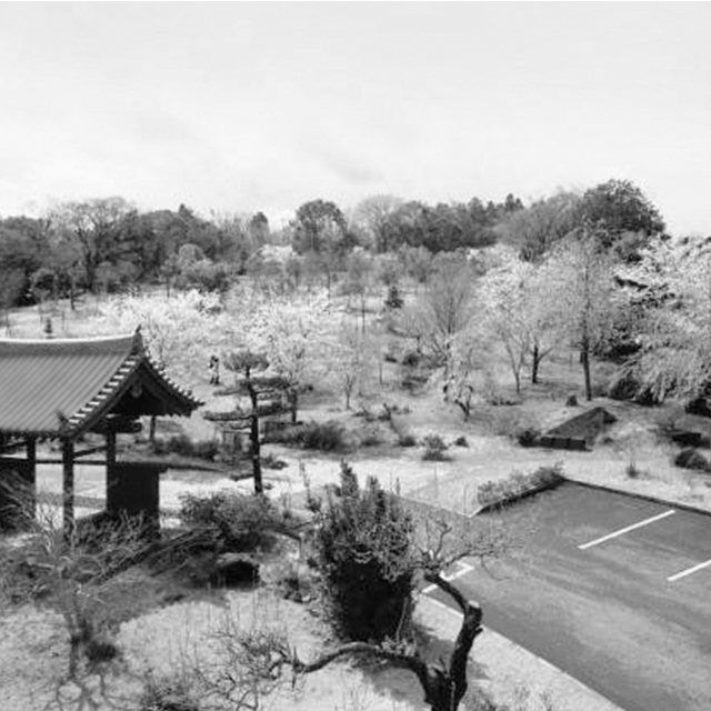 人気のお墓 里山タイプ