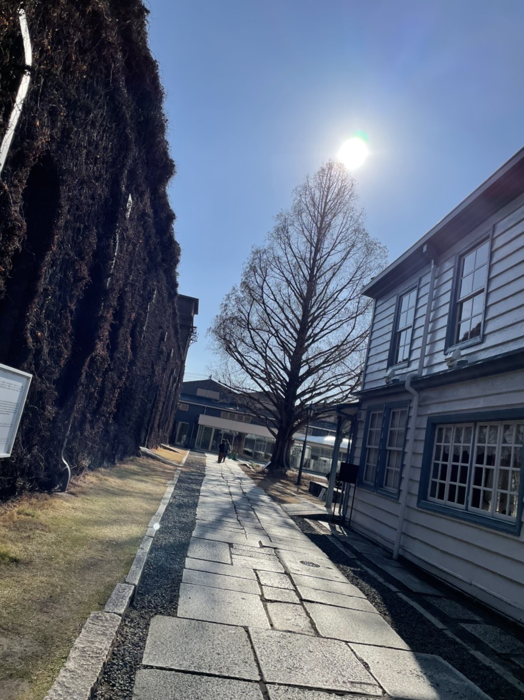 あけましておめでとうございます♬私のお正月コーデはコレ!_1_8