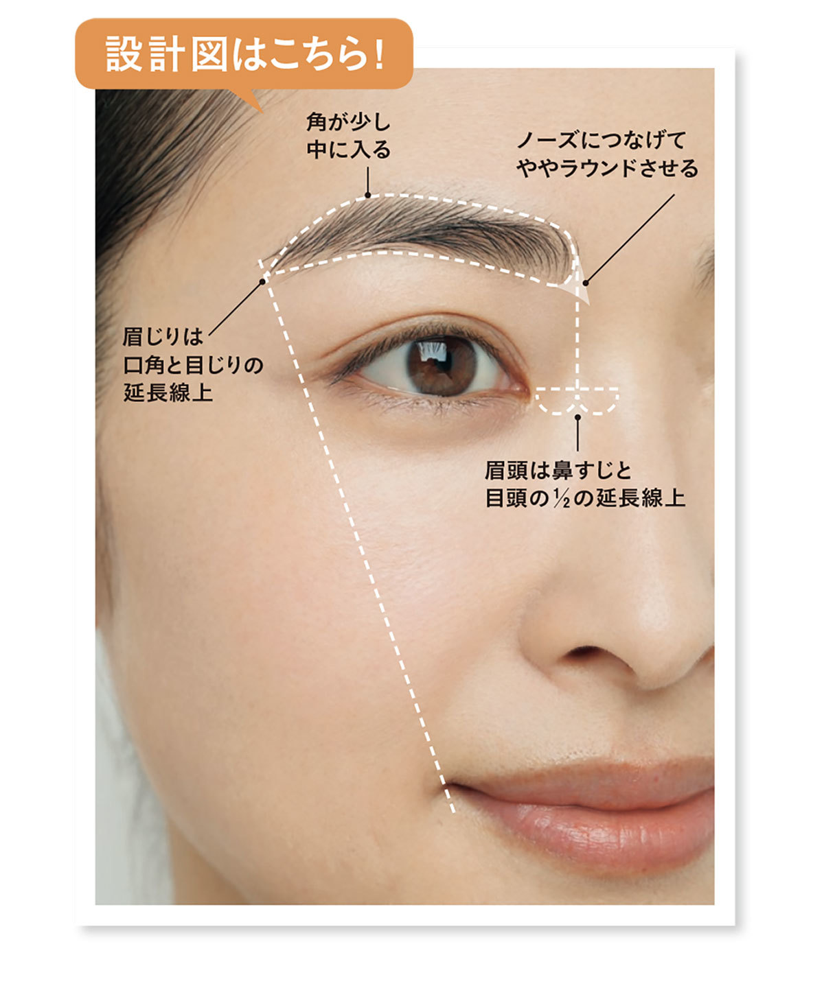 抜け感眉 1.まずは眉の設計図で、全体のフォルムを確認