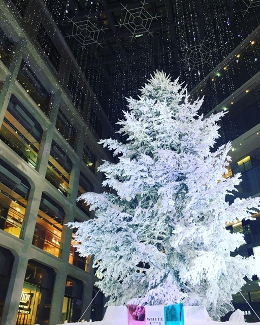 丸の内「KITTE」白銀のクリスマス