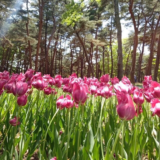 儚い自然の美しさを愛でる場所 私の日帰り旅行記 ファッション誌marisol マリソル 40代をもっとキレイに 女っぷり上々
