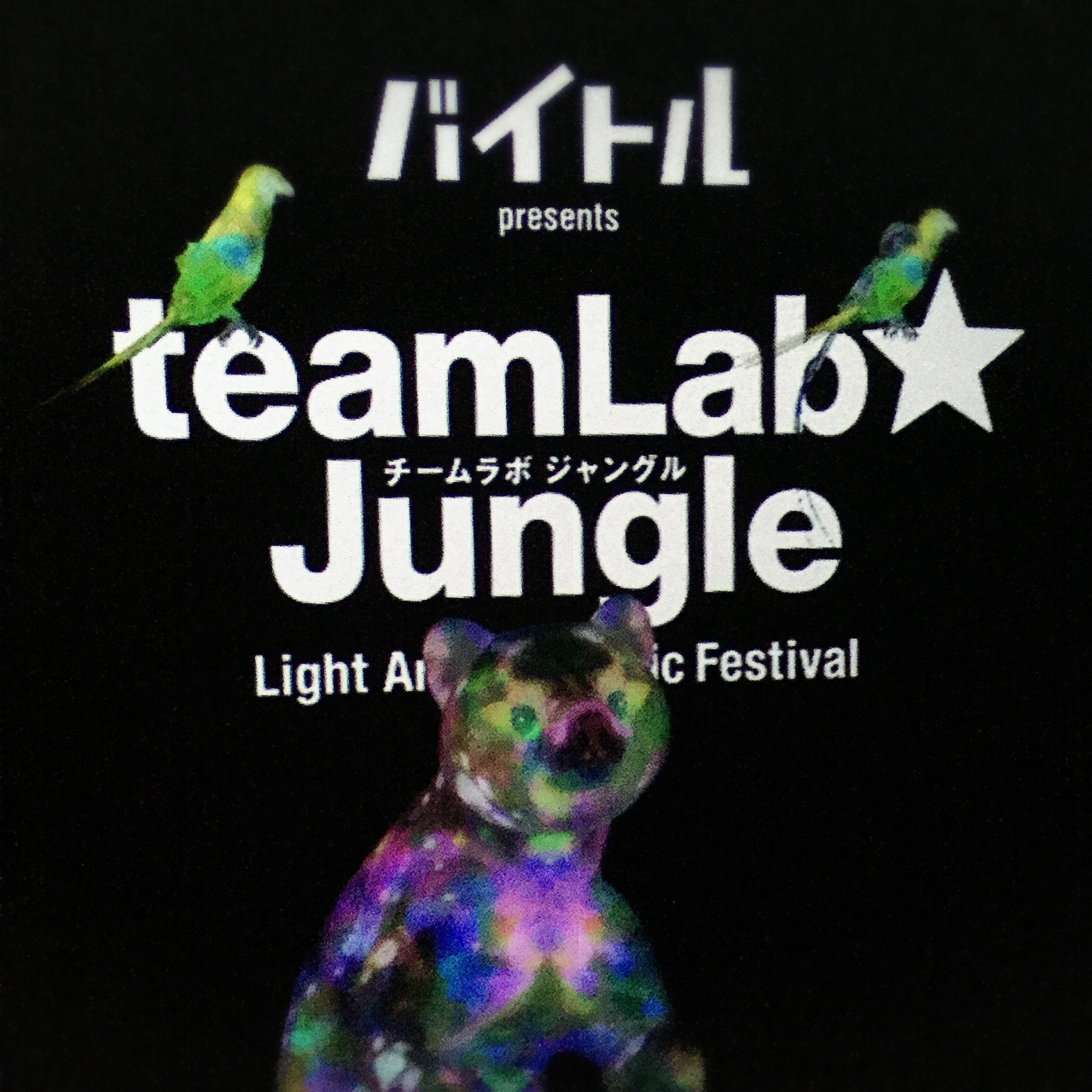 teamLab☆jungle _1_1
